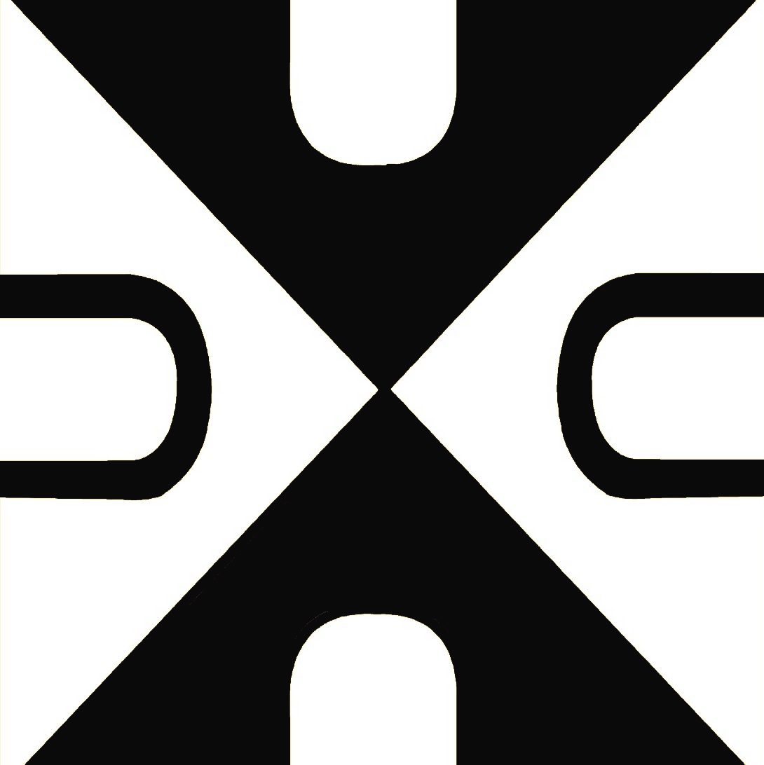 Delhi Fashion Studio Logo
