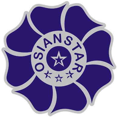 Delhi Fashion Studio Logo