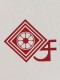Delhi Fashion Studio Logo