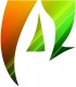 Delhi Fashion Studio Logo