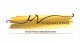 Delhi Fashion Studio Logo