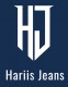 Delhi Fashion Studio Logo